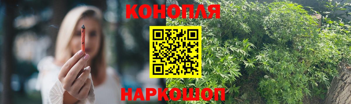 Каннабис гибрид  Каннабис конопля  Лесной  Вход с VPN  Бошки марихуана семена 